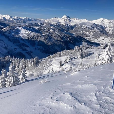 נוטרדאם-דה-בלקומב Chalets Savoie Les Chalets D'Heidi מראה חיצוני תמונה