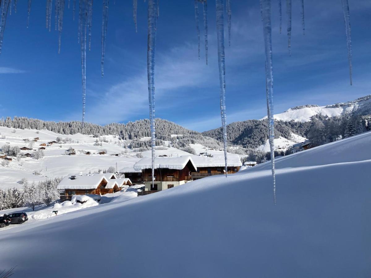 נוטרדאם-דה-בלקומב Chalets Savoie Les Chalets D'Heidi מראה חיצוני תמונה
