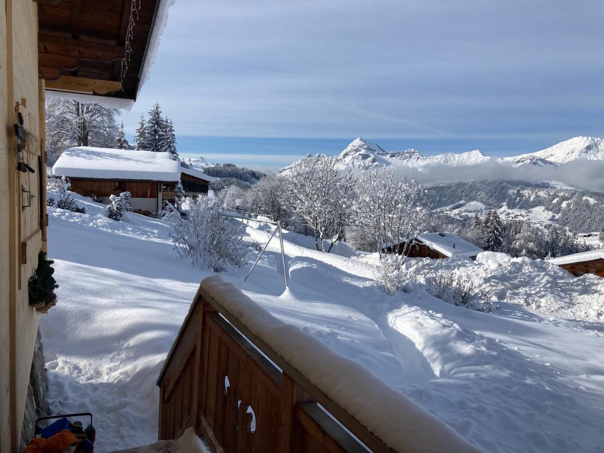 נוטרדאם-דה-בלקומב Chalets Savoie Les Chalets D'Heidi מראה חיצוני תמונה