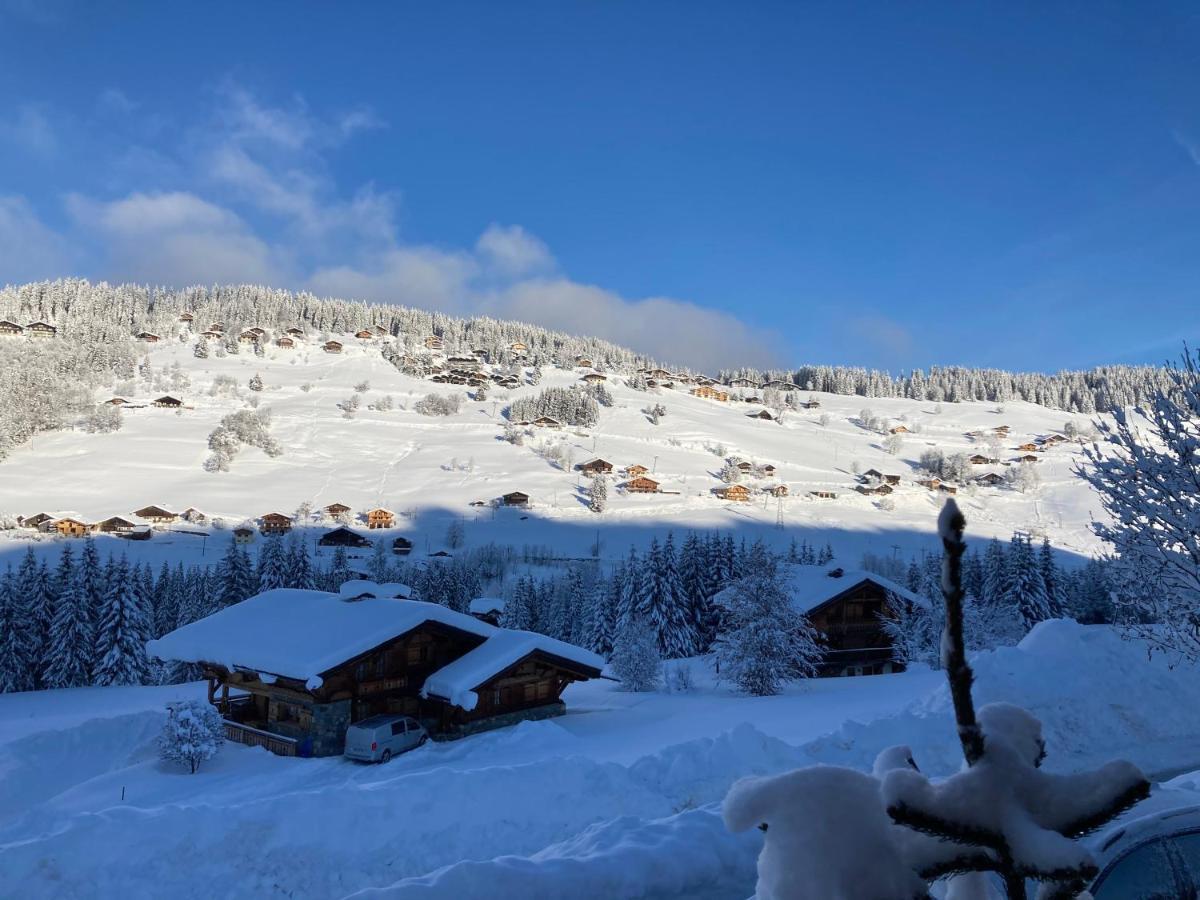נוטרדאם-דה-בלקומב Chalets Savoie Les Chalets D'Heidi מראה חיצוני תמונה