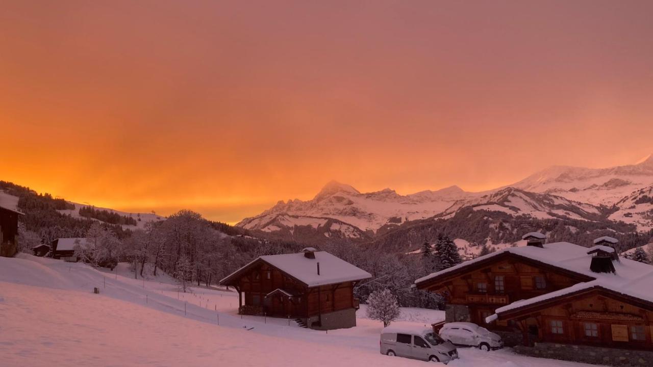 נוטרדאם-דה-בלקומב Chalets Savoie Les Chalets D'Heidi מראה חיצוני תמונה