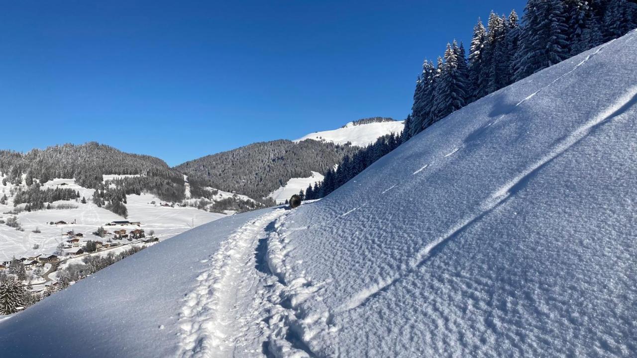 נוטרדאם-דה-בלקומב Chalets Savoie Les Chalets D'Heidi מראה חיצוני תמונה