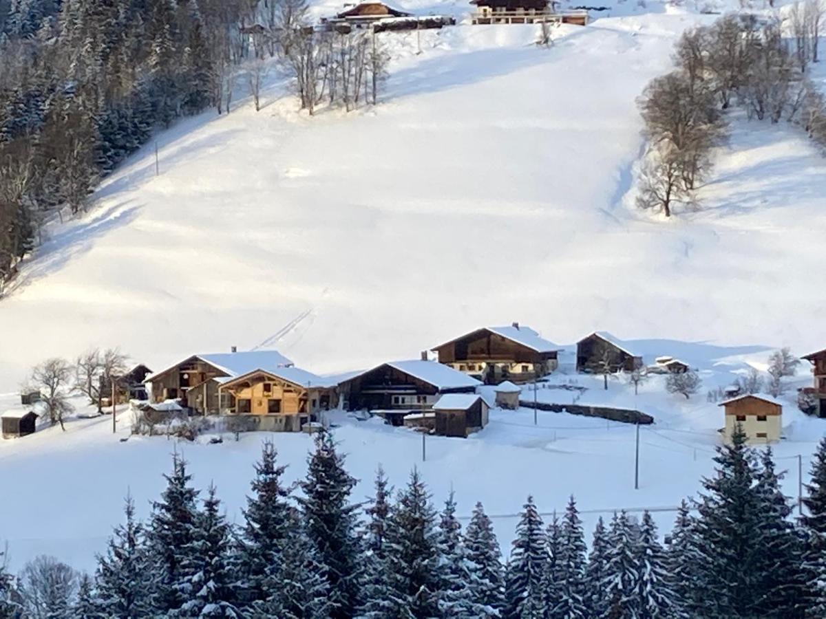 נוטרדאם-דה-בלקומב Chalets Savoie Les Chalets D'Heidi מראה חיצוני תמונה