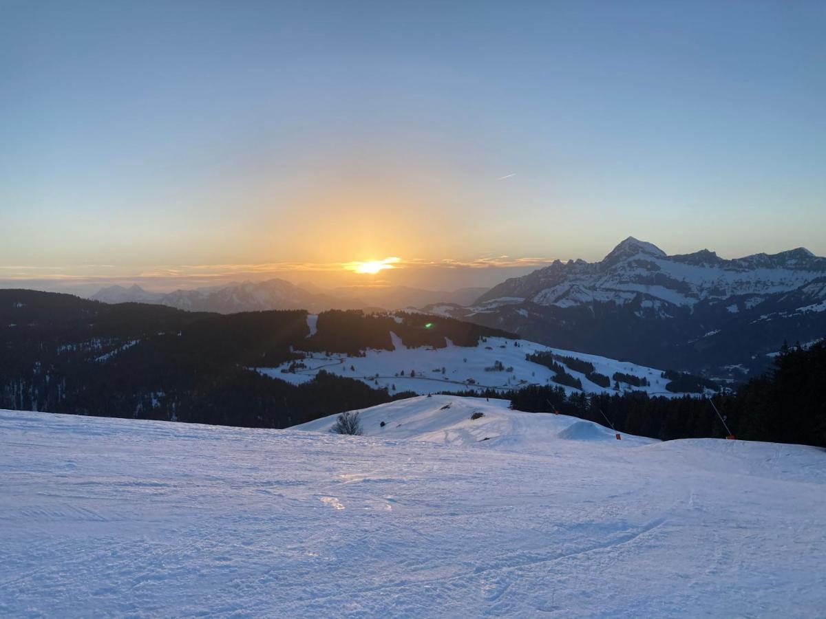 נוטרדאם-דה-בלקומב Chalets Savoie Les Chalets D'Heidi מראה חיצוני תמונה