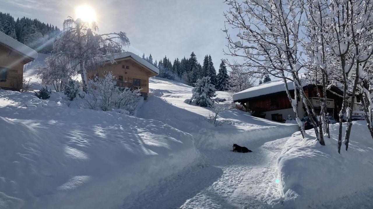 נוטרדאם-דה-בלקומב Chalets Savoie Les Chalets D'Heidi מראה חיצוני תמונה