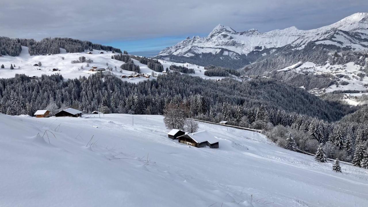 נוטרדאם-דה-בלקומב Chalets Savoie Les Chalets D'Heidi מראה חיצוני תמונה