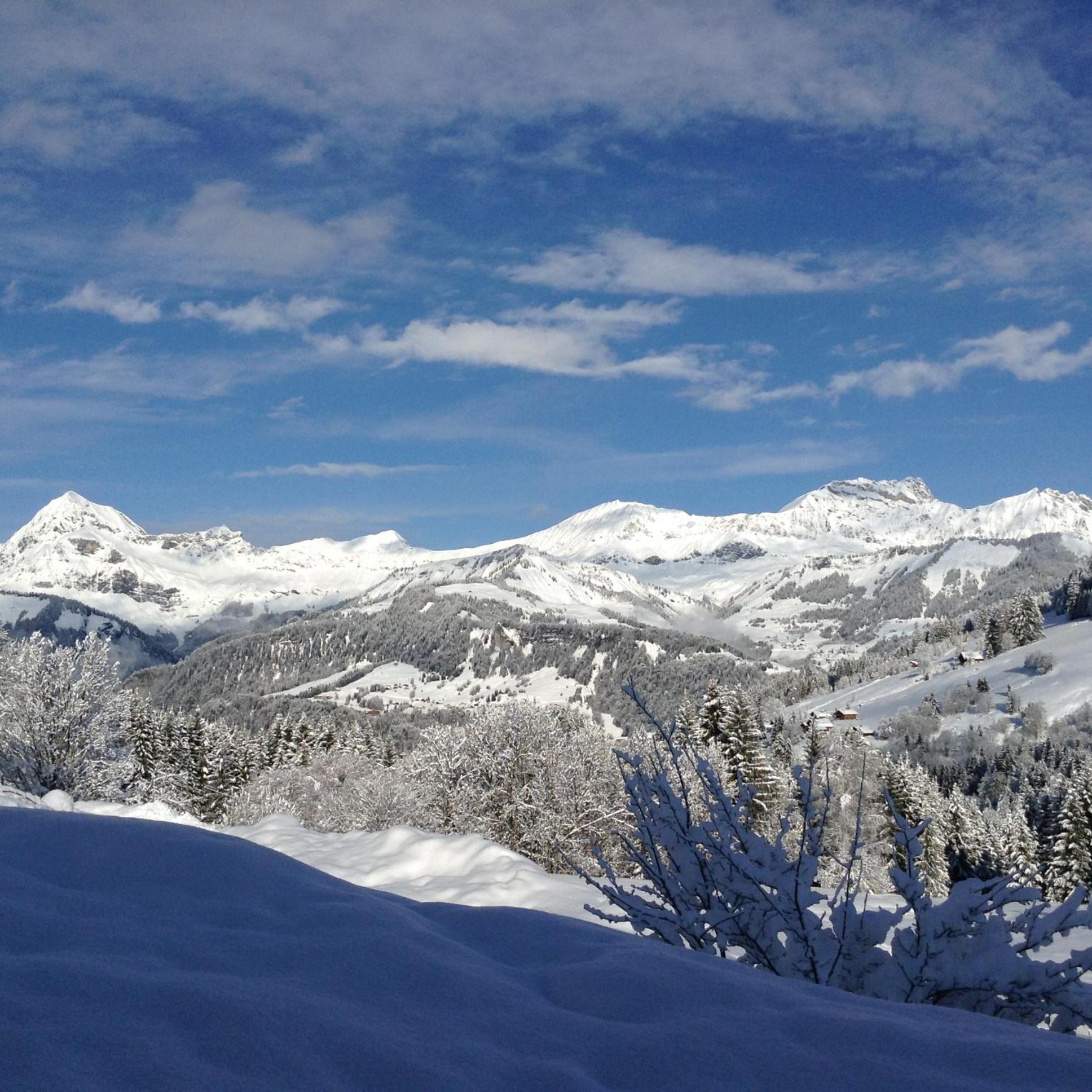 נוטרדאם-דה-בלקומב Chalets Savoie Les Chalets D'Heidi מראה חיצוני תמונה