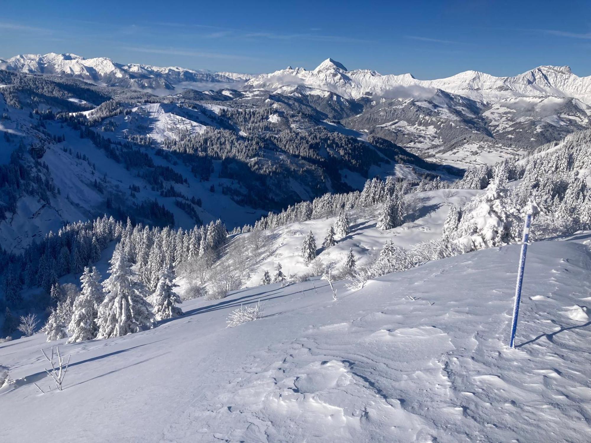 נוטרדאם-דה-בלקומב Chalets Savoie Les Chalets D'Heidi מראה חיצוני תמונה