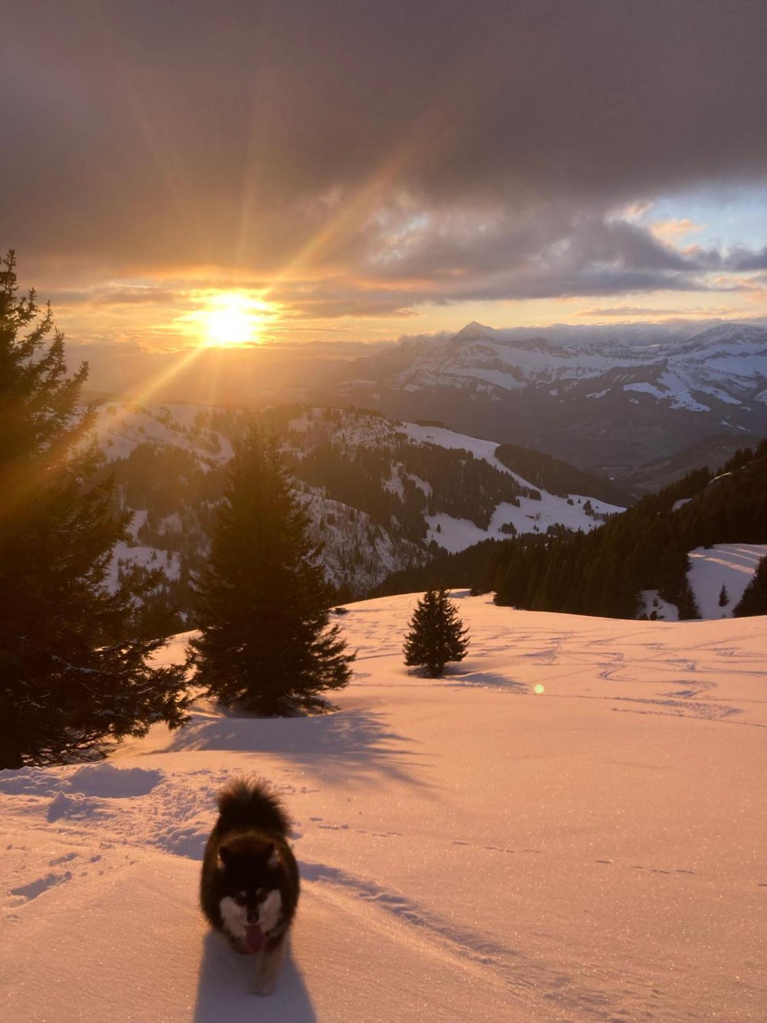 נוטרדאם-דה-בלקומב Chalets Savoie Les Chalets D'Heidi מראה חיצוני תמונה