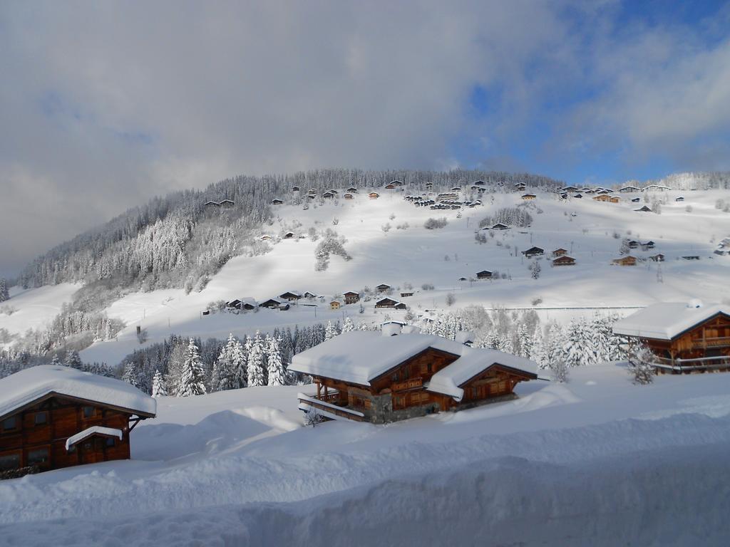 נוטרדאם-דה-בלקומב Chalets Savoie Les Chalets D'Heidi מראה חיצוני תמונה