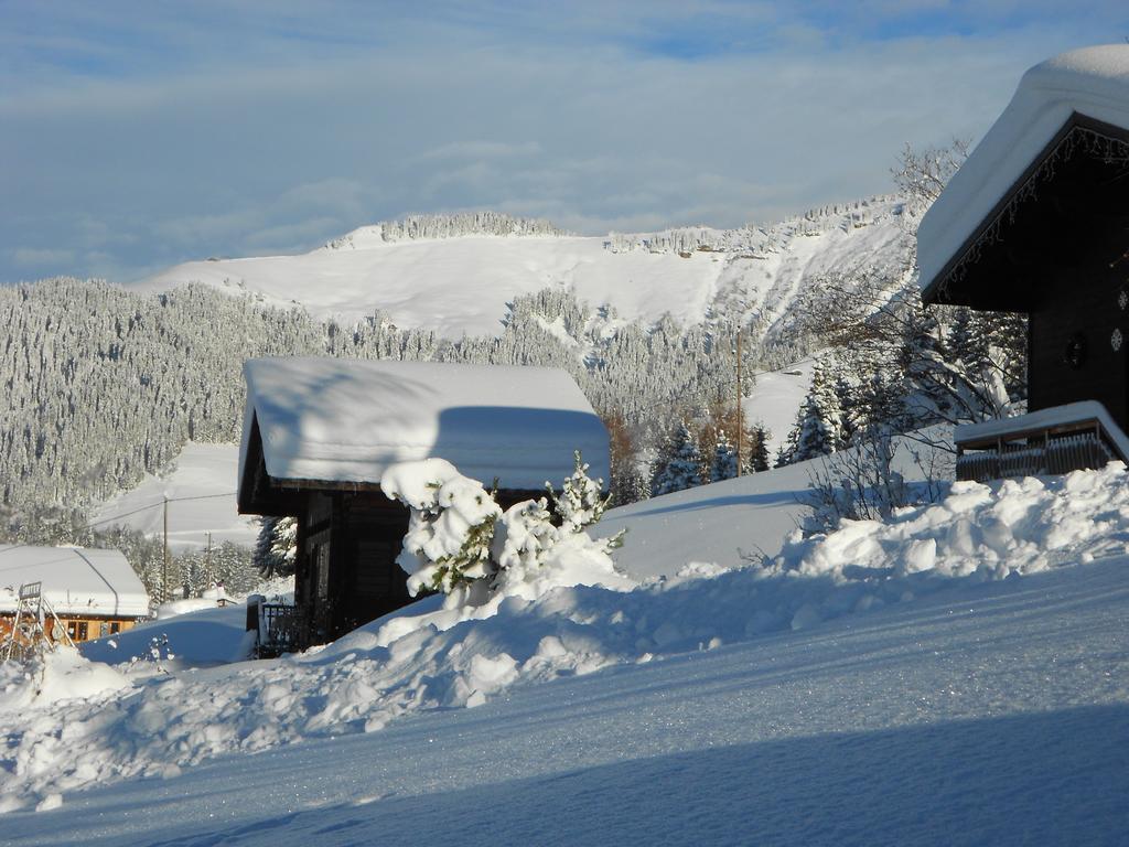 נוטרדאם-דה-בלקומב Chalets Savoie Les Chalets D'Heidi מראה חיצוני תמונה