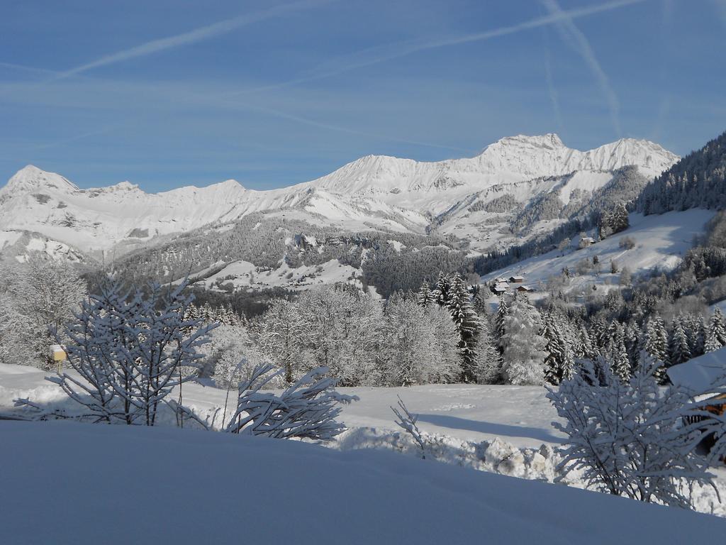 נוטרדאם-דה-בלקומב Chalets Savoie Les Chalets D'Heidi מראה חיצוני תמונה