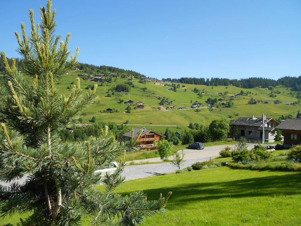 נוטרדאם-דה-בלקומב Chalets Savoie Les Chalets D'Heidi מראה חיצוני תמונה