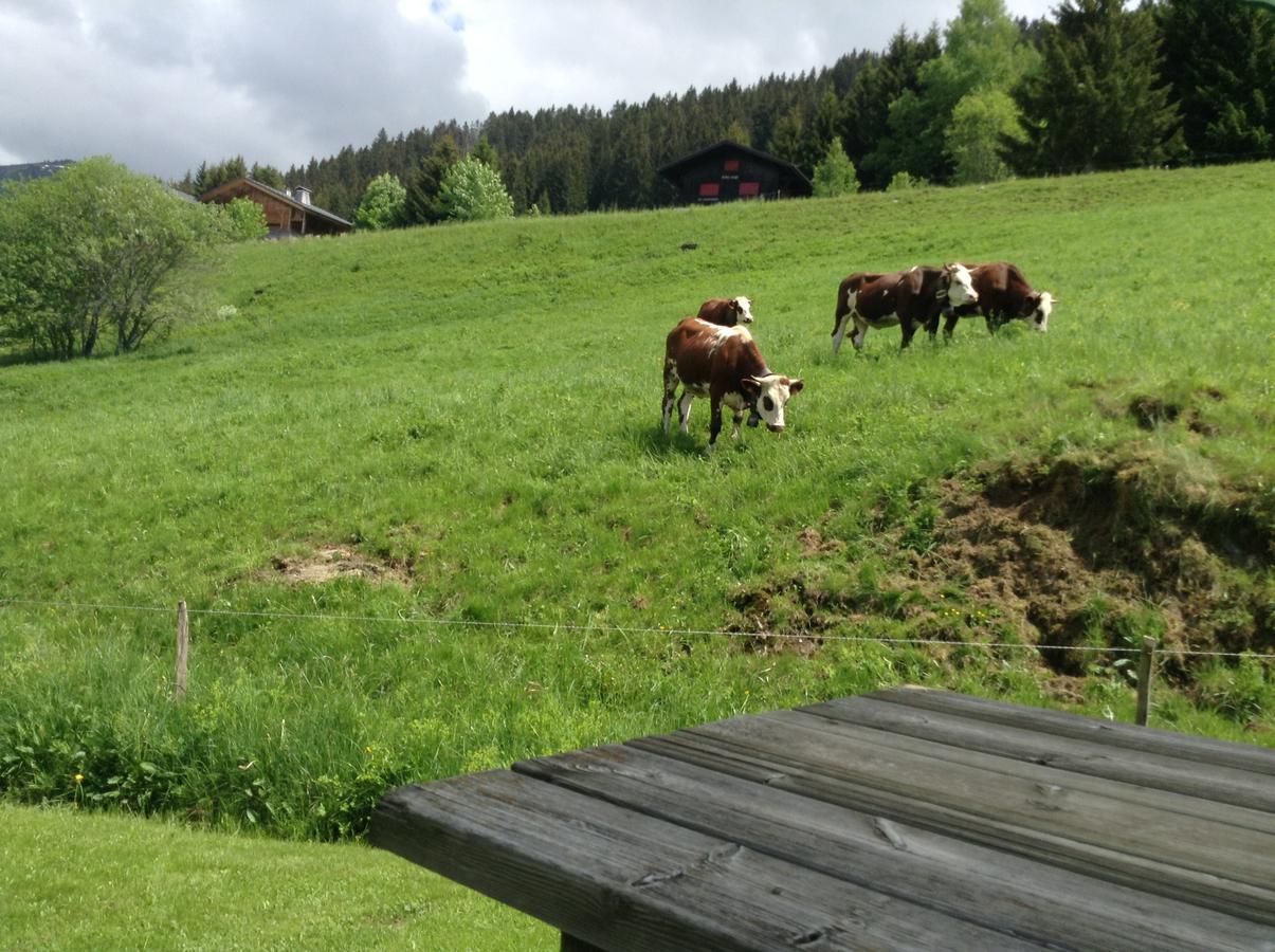 נוטרדאם-דה-בלקומב Chalets Savoie Les Chalets D'Heidi מראה חיצוני תמונה