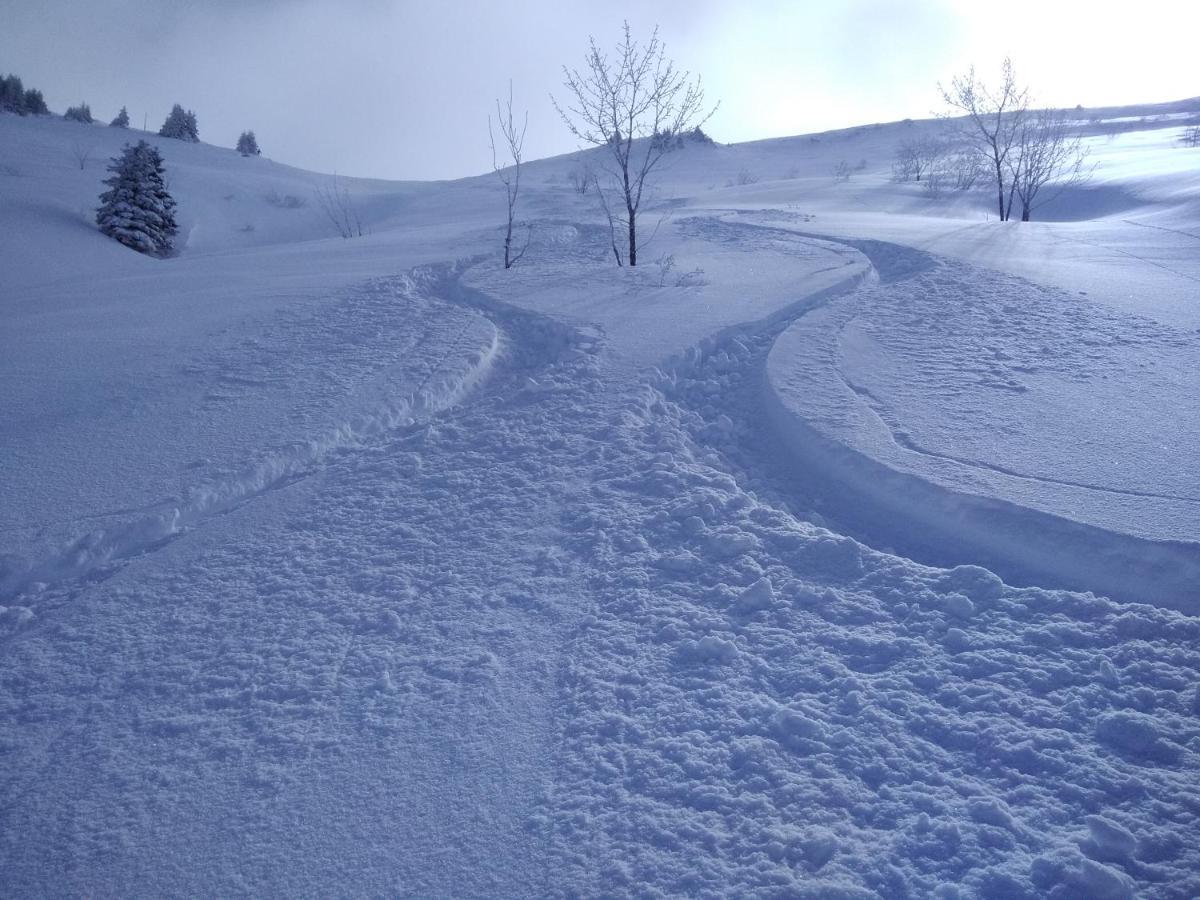 נוטרדאם-דה-בלקומב Chalets Savoie Les Chalets D'Heidi מראה חיצוני תמונה